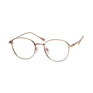 IOTA West Eyeglasses D6 Gold 51mm